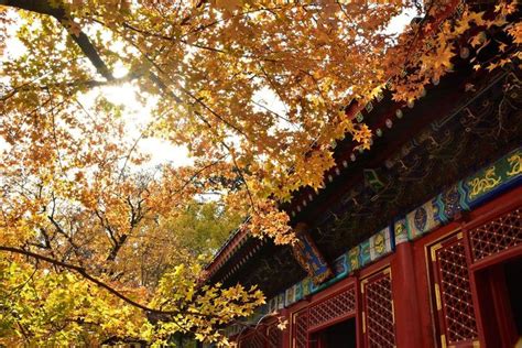 南京鍾山|南京钟山（中山陵）风景区旅游攻略